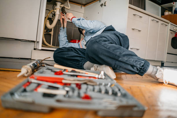 Best Sprinkler Systems  in Orangetree, FL
