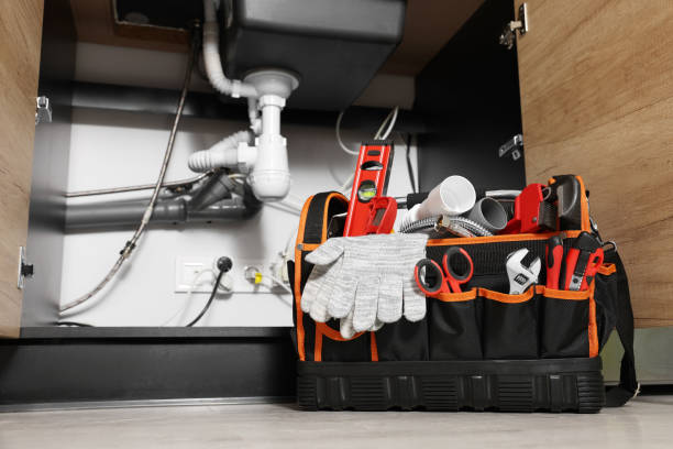 Best Septic Systems  in Orangetree, FL