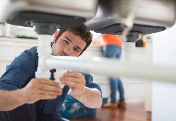 Best Clogged Drain Plumber  in Orangetree, FL