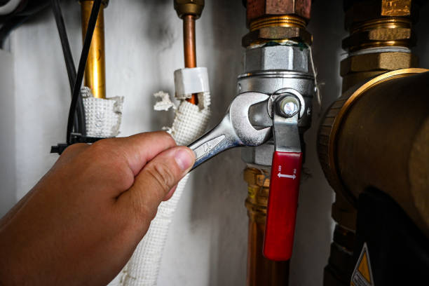 Best Faucet Repair  in Orangetree, FL